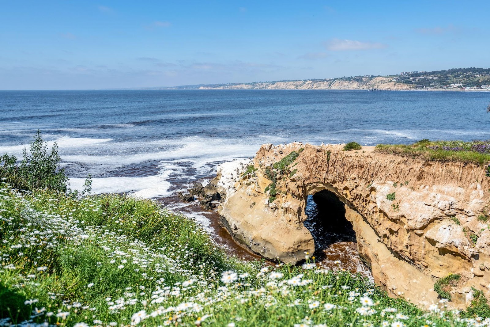 Pacific Beach & Mission Beach